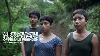 Trailer Preview Image