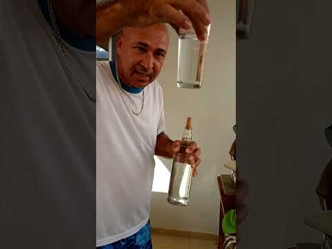 cabeça, coração e cauda