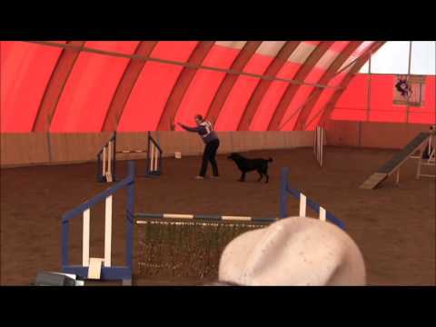 13.3.2016 Riihimäki, labnou Riemu