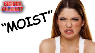This is Why So Many Hate the Word...MOIST