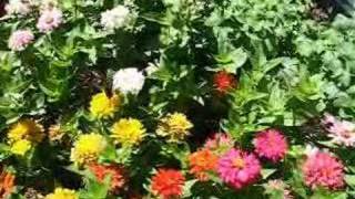 Sherry Lynn Medley (Montage)