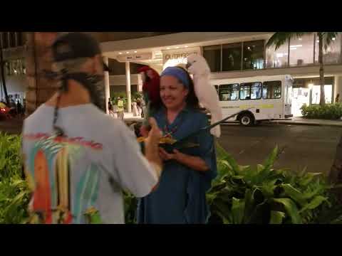 NITE WALK KUHIO AVENUE INTERNATIONAL MARKET PLACE WAIKIKI HONOLULU HAVAÍ