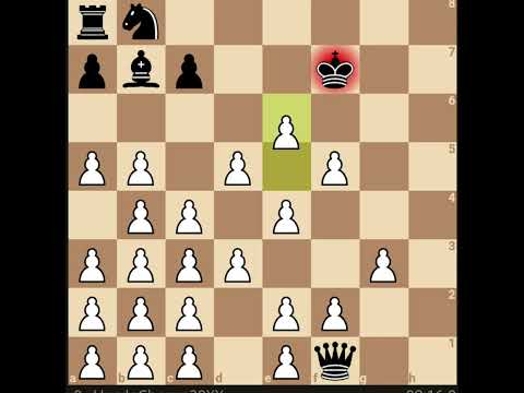 588 Elo how to play chess #chess #magnus