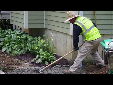 Dead Plant Removal Services Dead Plant Disposal in Omaha NE | Price Moving & Hauling Omaha