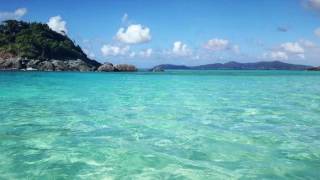 Whirlwind (Dispatch Cover)