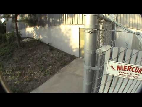 LA SHRED'R - Bradley Allbee