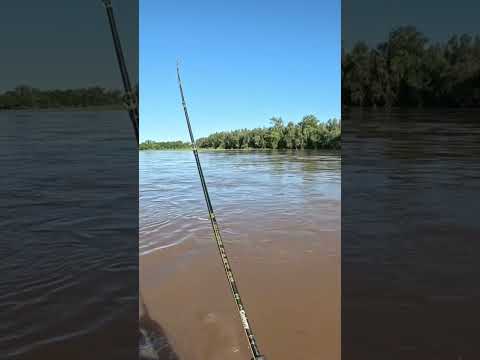 Pesca y Cocina LOS GOMEZ CHICO, Ríos Crecidos, Tucumán #Pesca #pescaycocina #fishing #fish #dorados