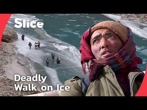 Life on the Chadar Trail: The Isolated Communities of Zanskar | SLICE | FULL DOCUMENTARY
