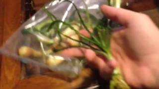 Unboxing: Crinum Combo from Dustin's Fish Tanks