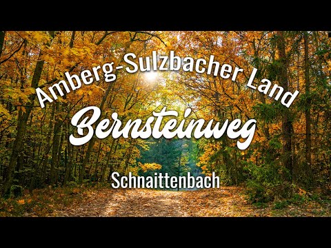 Bernsteinweg Schnaittenbach | Wandern im Amberg-Sulzbacher Land