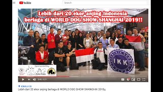 preview picture of video 'Lebih dari 20 ekor anjing Indonesia berlaga di WORLD DOG SHOW SHANGHAI 2019!!'