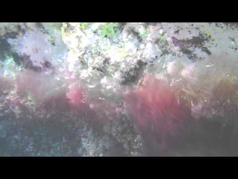 José Padilla & Kirsty Keatch - Helios (Balam Acab Remix)