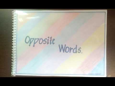 Opposite words