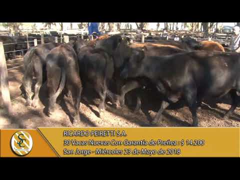 23-05-18 Venta de Vientres - Ricardo Peiretti S.A. - San Jorge