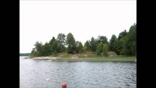 Trond Granlund - Eloise