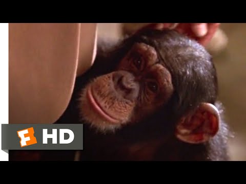 Crocodile Dundee in Los Angeles (2001) - Kiki the Chimpanzee Scene (4/10) | Movieclips