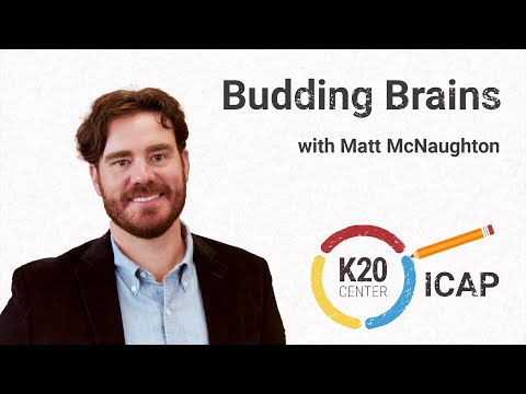 K20 ICAP - Psychiatrist - Budding Brains