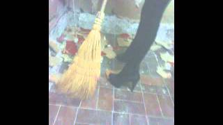 Cabaret Voltaire - Spies In The Wires