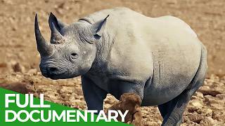 Wild Southern Africa | Episode 1: The Quest for Water | Free Documenta
