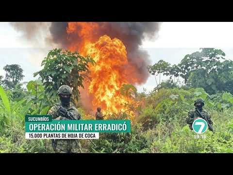 15.000 plantas de coca fueron localizadas en Putumayo, militares destruyeron los sembríos