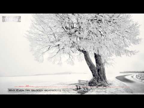 Why Even Try (Bloody Beetroots Remix) - Theophilus London