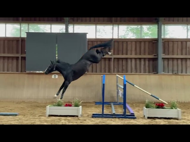Jumping at home
