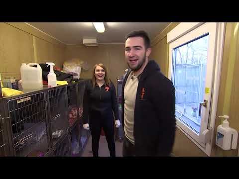 Kanal 2 "Õhtu!" - loomade varjupaik