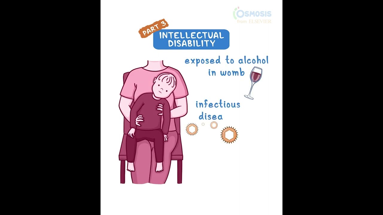 Intellectual Disability pt 3