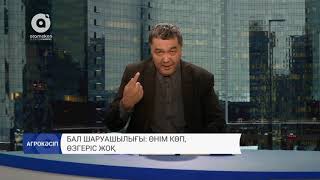 Бал шаруашылығы: өнім көп, өзгеріс жоқ