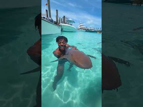 I WENT SWIMMING WITH SHARKS!! 😳🦈