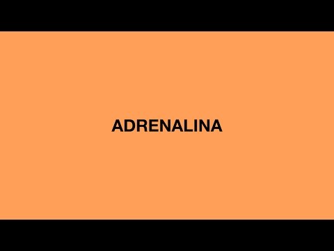 Official Vandal - Adrenalina (audio)