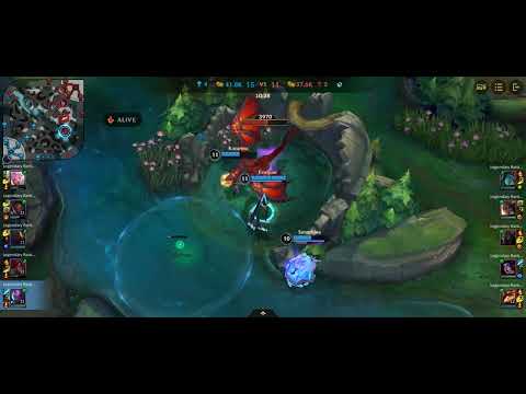 【Legendary Ranked】Evelyn vs. Morgana Jungle