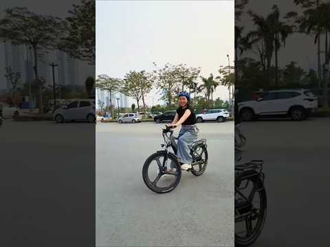 Xe đạp điện trợ lực Phoenix M16 vành đúc