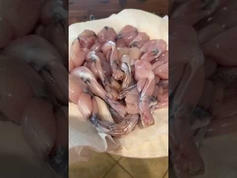 How to fried frog legs #cajun #foodblogger #froglegs #disney #cooking  #howto #howtocook #cook #love