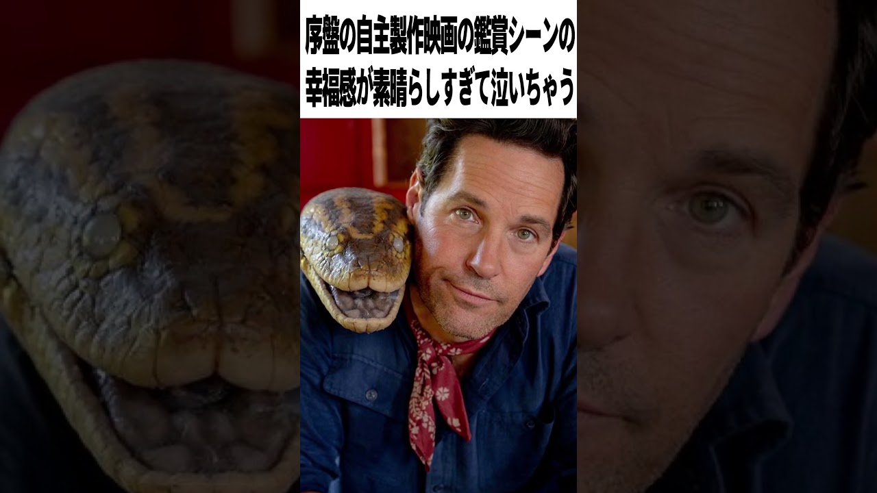 【激辛採点】映画『俺たちのアナコンダ』●●点｜中年の危機さえのみこませろ！勝手にリブート【ネタバレなし感想レビュー】