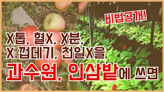과수원, 인삼밭을 위한 병충해 완전 탈출 퇴비 | 토양 발효제 만드는 방법