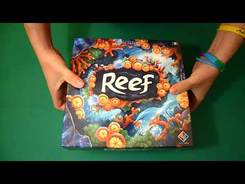 Reef - Italian Unboxing