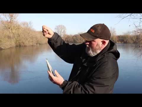 HOW TO HOOK DEADBAITS