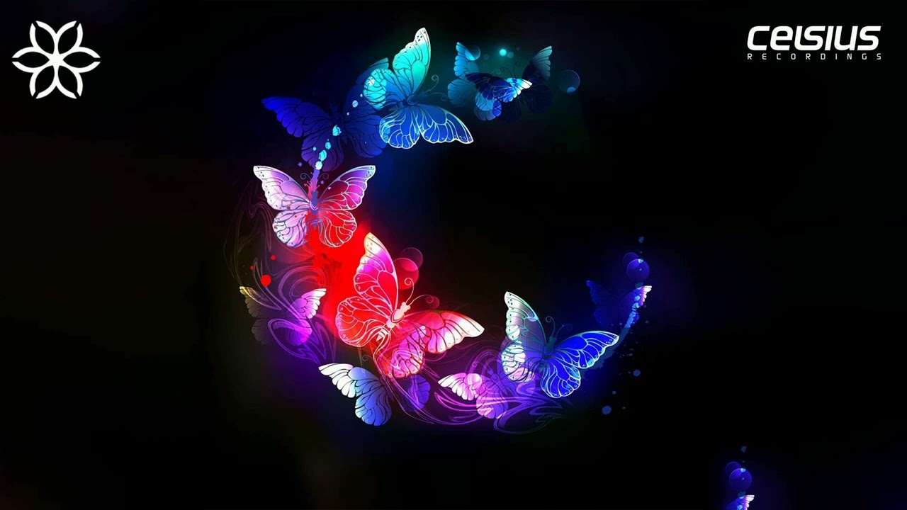 Con-Figure - Butterflies Of The Night