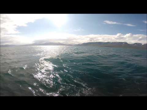 Day 3 Siglufjordar & the tunel of Terror and day 4 Whales