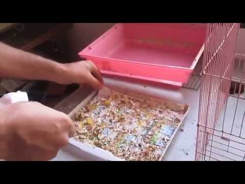 comment nettoyer une cage a oiseaux