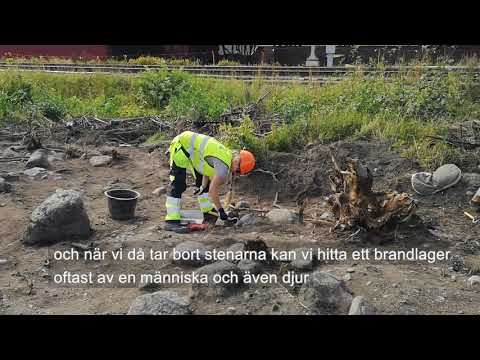 Bådstorp I: Olika gravtyper