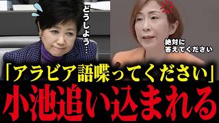 【小池百合子】議会でアラビア語を要求された結果、ボロが出て大恥をかくww学歴詐称確定じゃん...【小池都知事 さとうさおり カイロ大学】