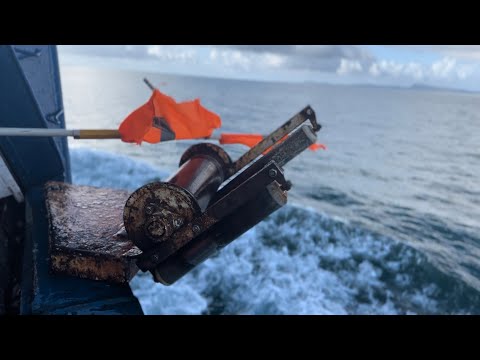 Fiske og Fangst Måløy på pigghåtokt 2022