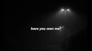 nicole dollanganger - have you seen me? // lyric video