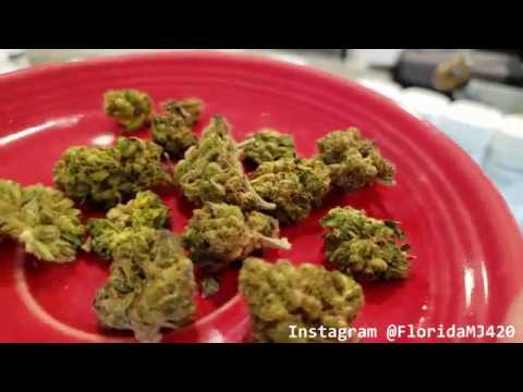 download lagu mp3 mp4 Vanilla Berry, download lagu Vanilla Berry gratis, unduh video klip Vanilla Berry