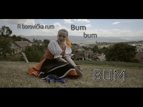 Ronix - Borovička & Rum |Lyrics
