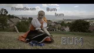 Ronix - Borovička & Rum |Lyrics