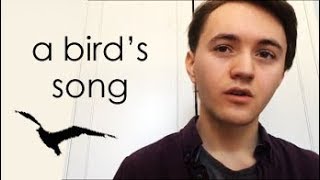 A Bird’s Song | Ingrid Michaelson cover