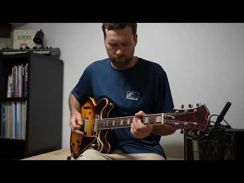 Aria Diamond 1202T, Vox Pathfinder.